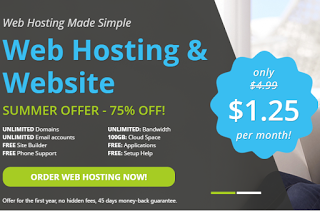 Miss Hosting Review: Best Affordable Shared Hosting and VPS Solutions