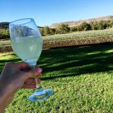 Cheers to sunshine-filled days in the Lockyer Valley.