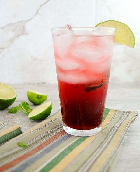 Pomegranate Gin Fizz with Lime and Mint