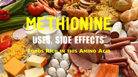 Methionine Rich Foods, Uses, Effects