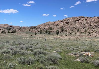 Plants & Rocks: South Pass Rockcress, South Pass Granite