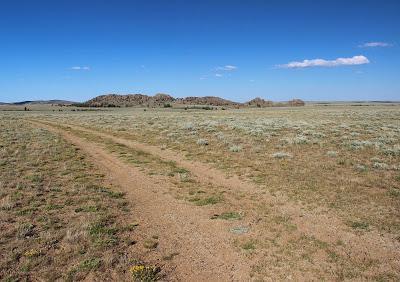 Plants & Rocks: South Pass Rockcress, South Pass Granite