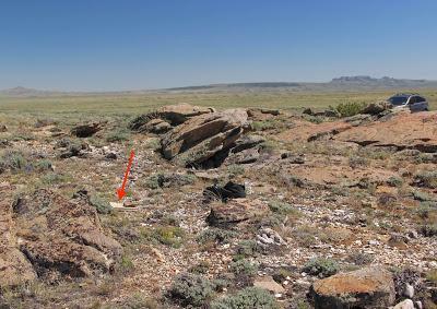 Plants & Rocks: South Pass Rockcress, South Pass Granite