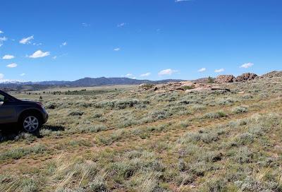 Plants & Rocks: South Pass Rockcress, South Pass Granite