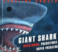 GIANT SHARK Featured in the Fabled Learning Summer Reading PopUp Library