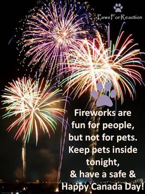 Canada Day: Fireworks and pets don't mix