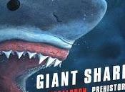 GIANT SHARK Featured Fable Learning Summer Reading PopUp Library
