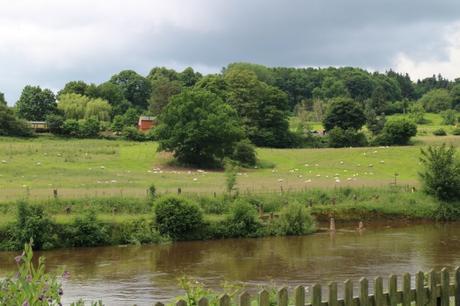  photo Severn Valley Railway 1_zpskrskeupm.jpg