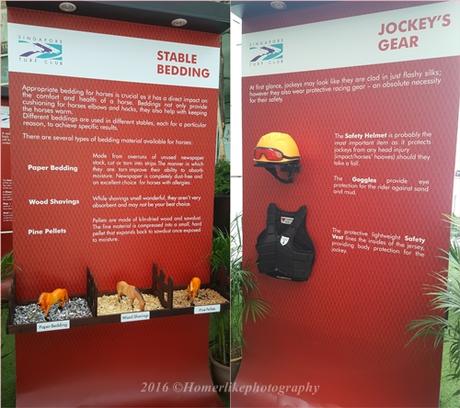 Public Exposure To The Lifestyle Around Horse Racing At Emirates Singapore Derby Roadshow