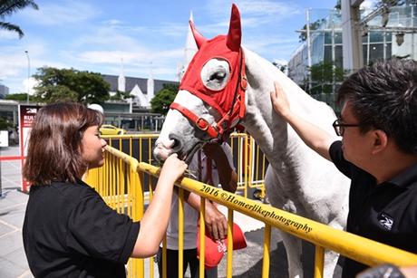 Public Exposure To The Lifestyle Around Horse Racing At Emirates Singapore Derby Roadshow