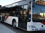 Greek Commuters Means Transport Work