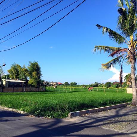 Canggu, Bali