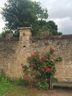 The first East Midlands Flower Show