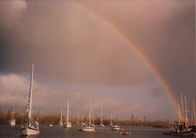 The Ark, The Rainbow, and True Liberty