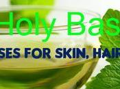 Tulsi (Holy Basil) Benefits Uses Skin, Hair Health