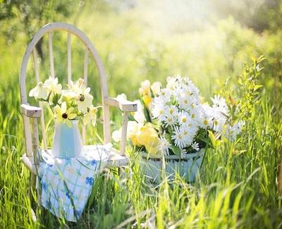 6 Sweet Ideas for Dressing up your Garden