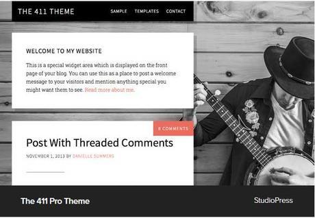 50+ Premium Themes for Wordpress Blog