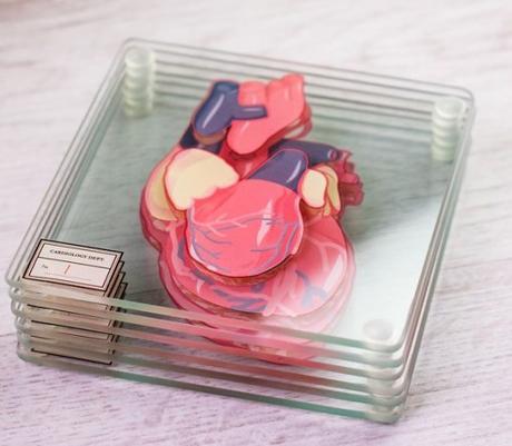 Heart Anatomy Drink Coasters