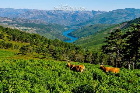 Peneda-Gerês National Park, Portugal