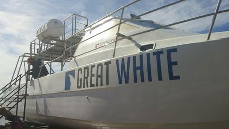 How I Spent A Week in Cape Town