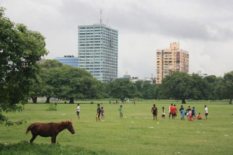 Taken on July 2, 2016 in Kolkata (the Maidan)