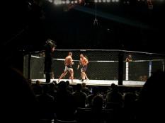 UFC Fight NIght 4