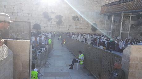 Picture of the Day Caption Contest