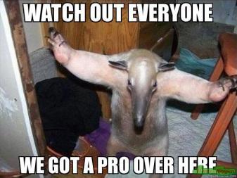 What is Foolproof Really About? pro