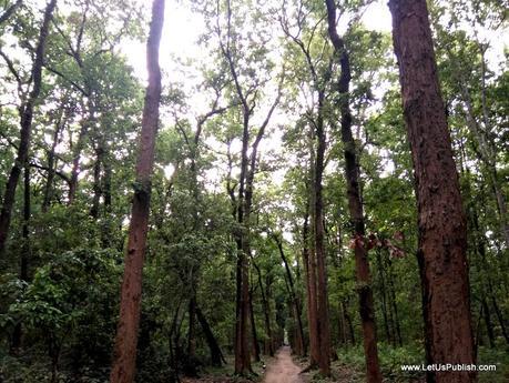 Travel Log – Namah Resort, Jim Corbett Park