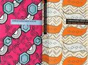 Stunning Reissues Chimamanda Ngozi Adichie's Books