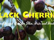 Black Cherries Benefits Uses Skin, Hair Health