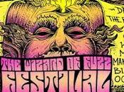 Wizard Fuzz 2016