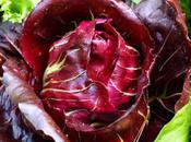 Preparing Autumn Already??