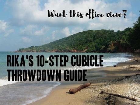 Should You Do a Cubicle Throwdown Like I Did?
