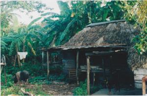 1 leila writing hut