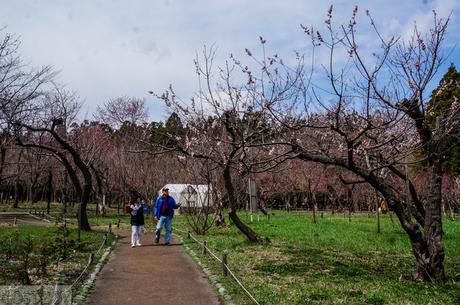 What to See and Do in Sapporo (PART 2)