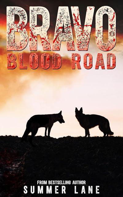 COVER REVEAL FOR BRAVO: BLOOD ROAD (And Synopsis Reveal!)