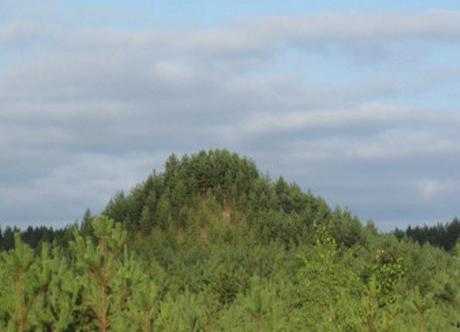Tree Mountain, Ylöjärvi