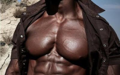 Chest Workouts