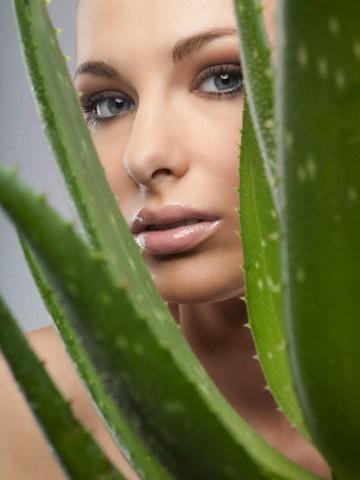 Aloe Vera Skin Benefits