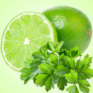 Lime Cilantro Fragrance Oil