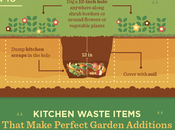 Food Scraps Your Garden