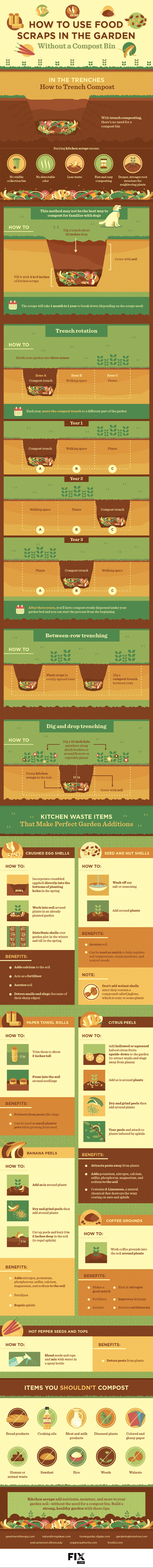 How to use food scraps in the garden - infographic