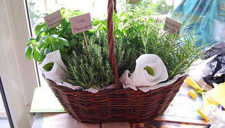 basket of different herbal teas