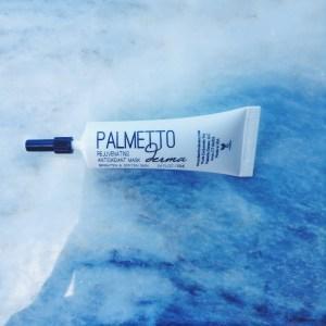 Palmetto Derma Rejuvenating Antioxidant Mask  