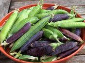 Last Peas, First Beans