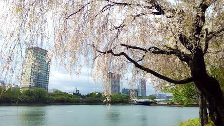 Songpa Naru Park and Banpo Hangang Park