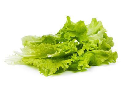 lettuce leaves