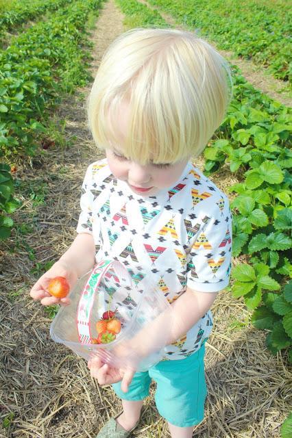 Stranded At The Strawberry Fields