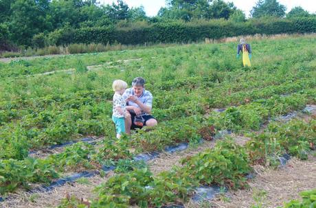 Stranded At The Strawberry Fields